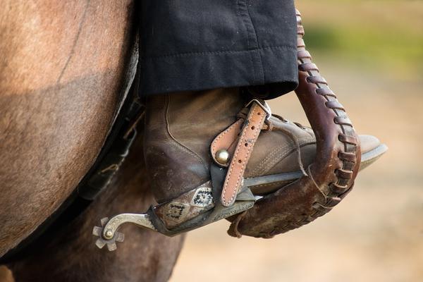 buty jeździeckie damskie skórzane
